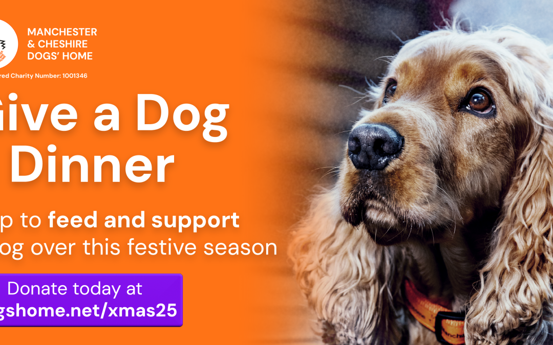 Protected: How This Charity Achieved 180% More Monthly Donations